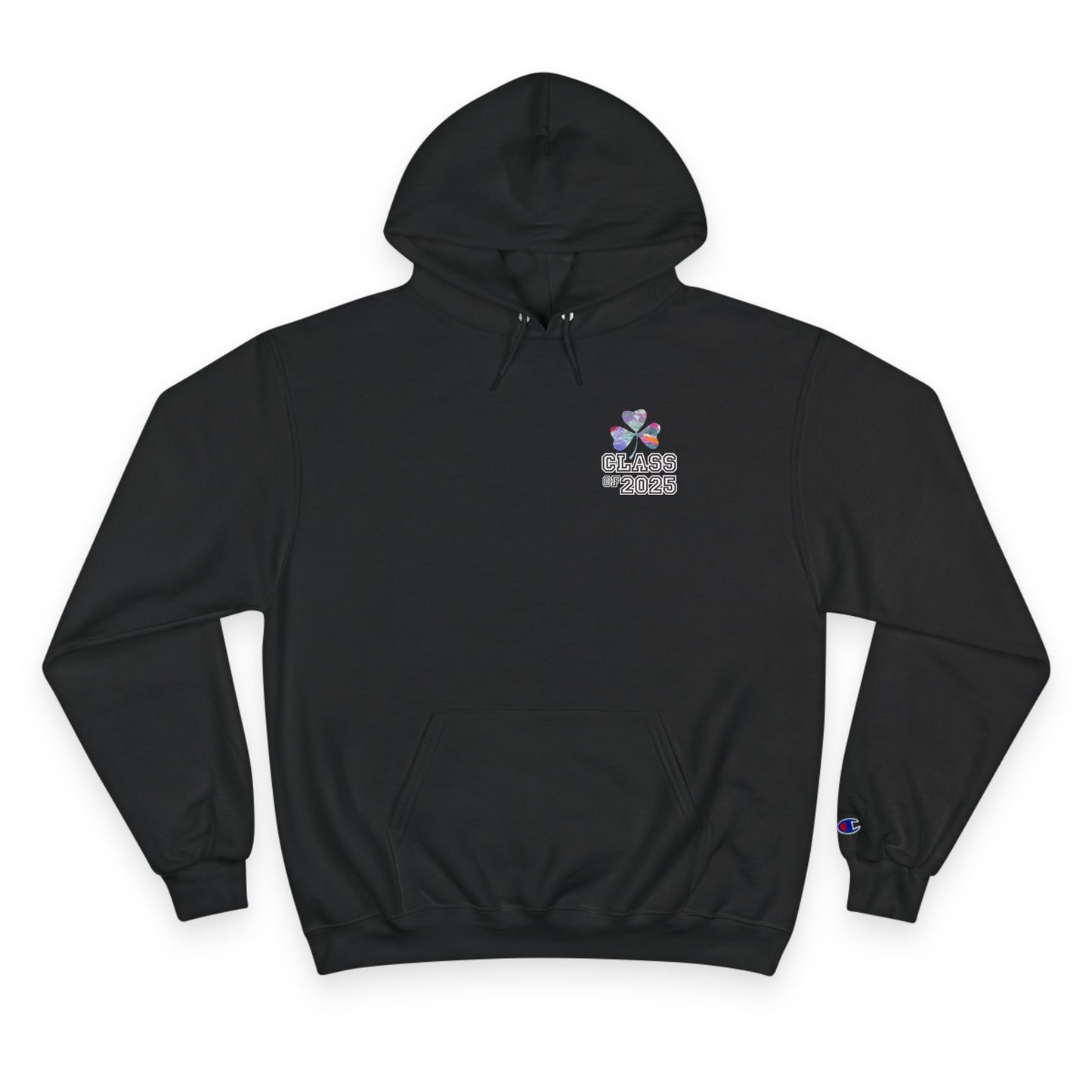 Class of 2025 - Study in Ireland - Champion Hoodie