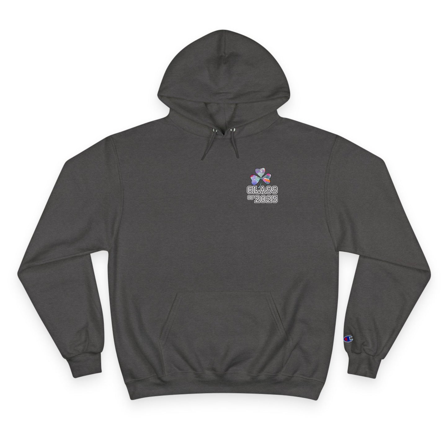 Class of 2025 - Study in Ireland - Champion Hoodie
