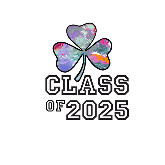 Class of 2025 - Study in Ireland - Champion Hoodie